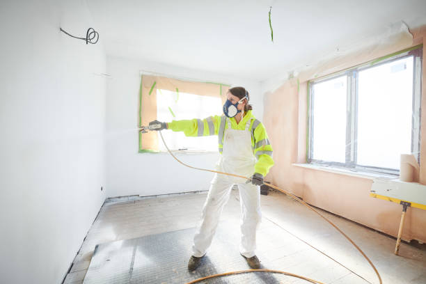 Best Asbestos and Lead Testing During Mold Inspection  in Reisterstown, MD