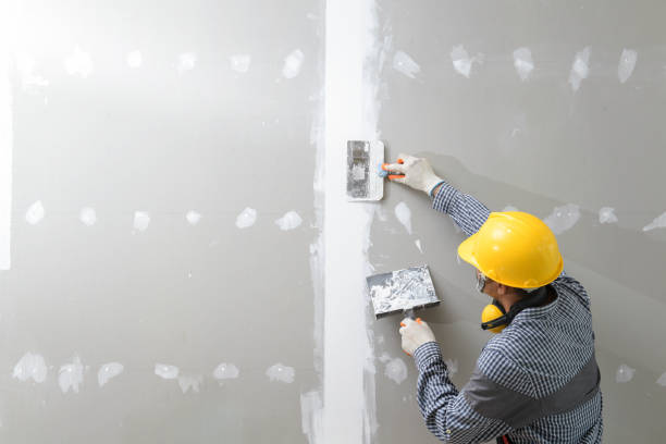 Best Residential Mold Inspection & Testing  in Reisterstown, MD