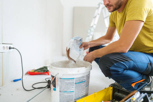 Best Black Mold Removal  in Reisterstown, MD