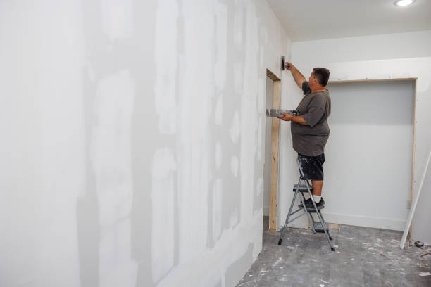 Best Mold Remediation for Healthcare Facilities  in Reisterstown, MD