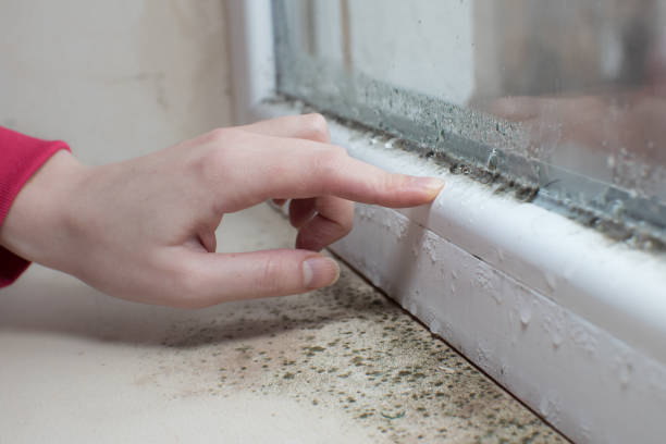 Best Comprehensive Air Testing for Mold Contaminants  in Reisterstown, MD