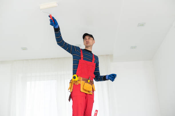 Best Airborne Mold Testing  in Reisterstown, MD
