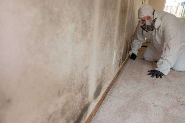 Best Post-Remediation Verification Testing  in Reisterstown, MD