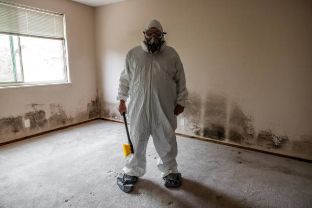 Best Biohazard Mold Removal  in Reisterstown, MD