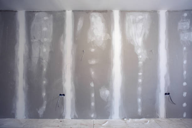 Best Industrial Mold Remediation  in Reisterstown, MD